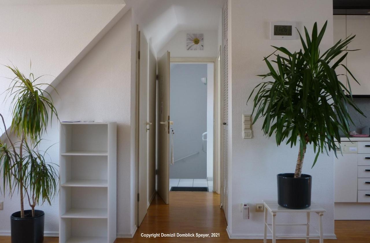 Domizil Domblick Speyer City, Garage, 50M2 Bagian luar foto