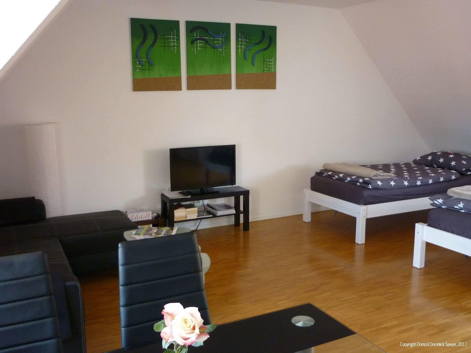 Domizil Domblick Speyer City, Garage, 50M2 Bagian luar foto